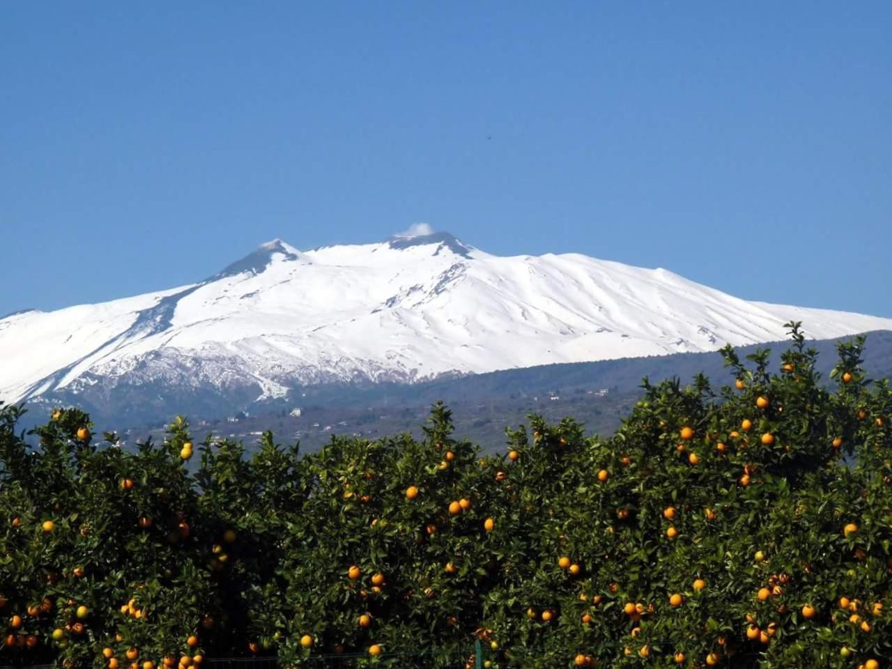 Casa Piedimonte Mare Etna Villa Fiumefreddo di Sicilia Phòng bức ảnh