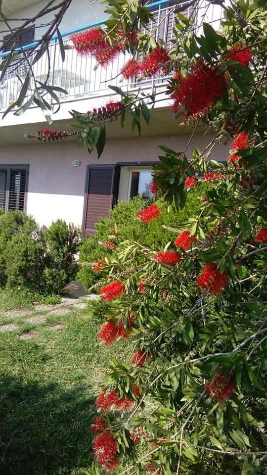 Casa Piedimonte Mare Etna Villa Fiumefreddo di Sicilia Ngoại thất bức ảnh